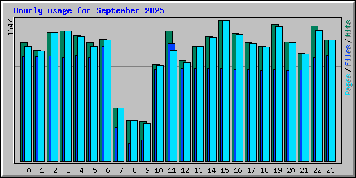 Hourly usage for September 2025